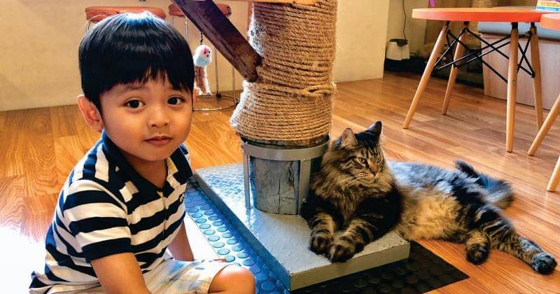 Instagram.com/tentangtiwi