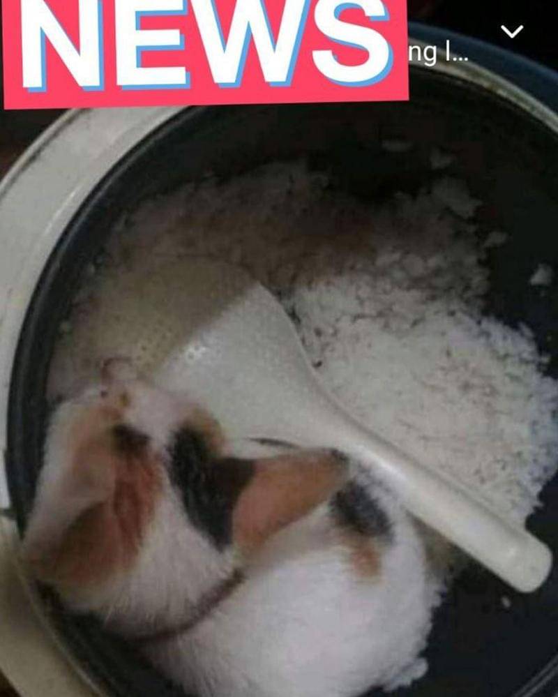 Twitter.com/txtdrkuliner