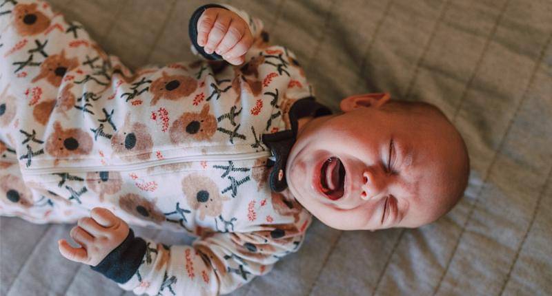 pexels/rodnae productions