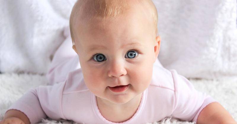 Pixabay/amyelizabethquinn