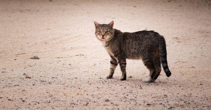 Unsplash/Brianwangenheim