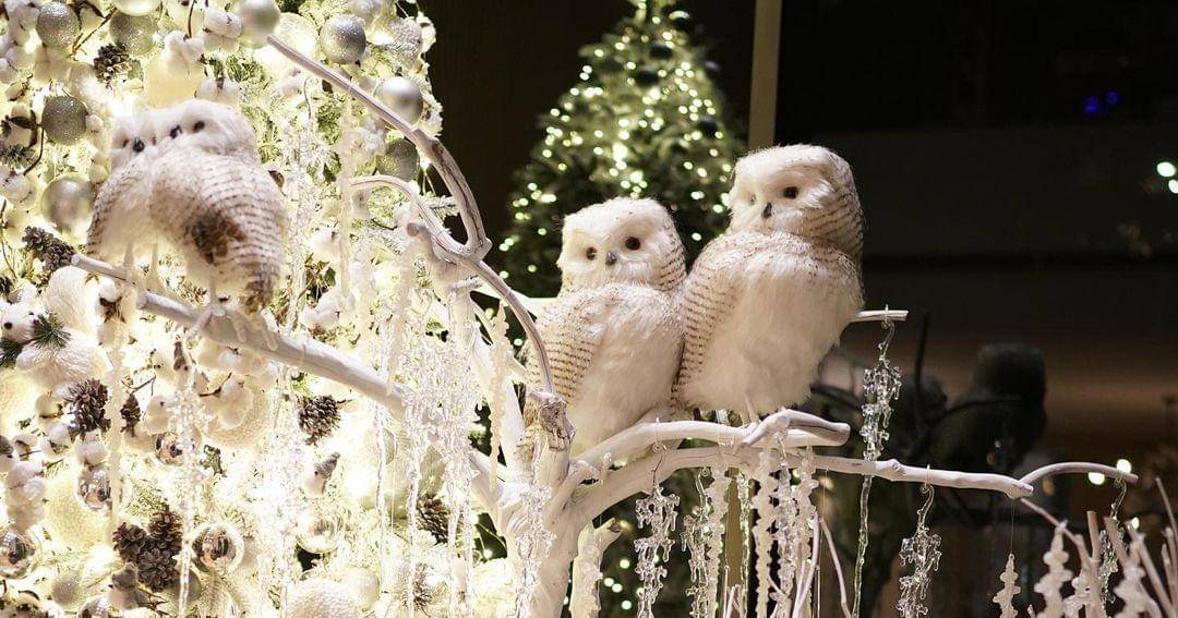 Instagram.com/sandradewi88