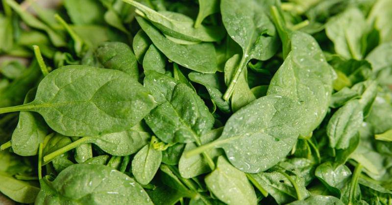 Pexels/Yaroslav Shuraev