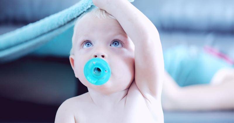 Unsplash/Sharon McCutcheon