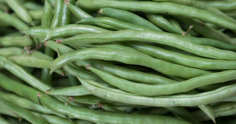 Pexels/Yulia Rozanova