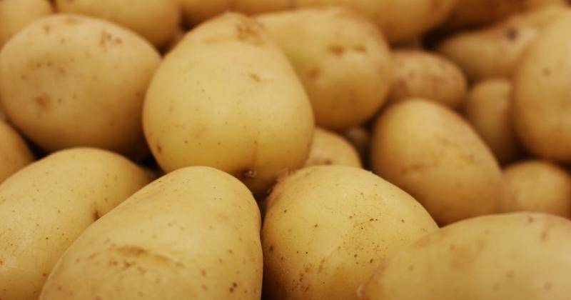Resep Berbahan Dasar Kentang yang Enak dan Bergizi