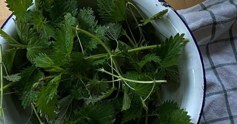 Pexels/Marina Leonova