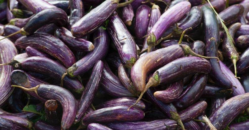 Pexels/Alexandr Podvalny