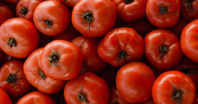 Pexels/Arina Krasnikova