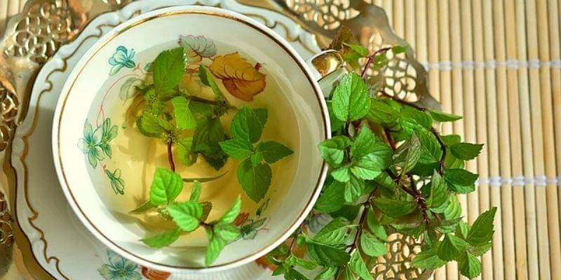 Pixabay/congerdesign