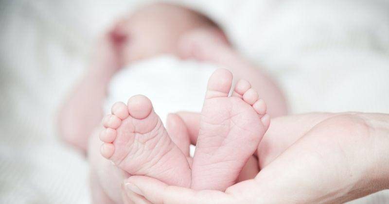 Pexels.com/ReneAsmussen