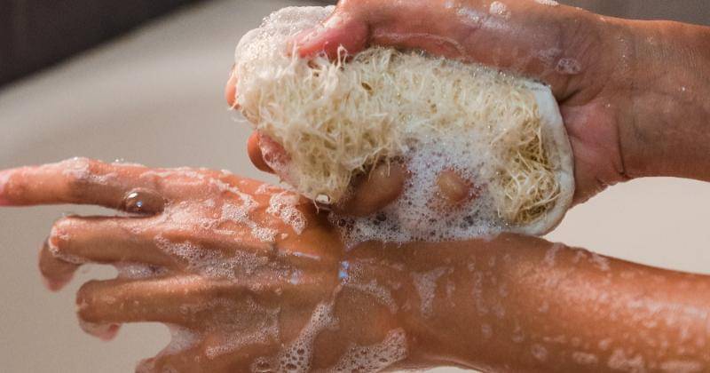 Pexels/Greta Hoffman