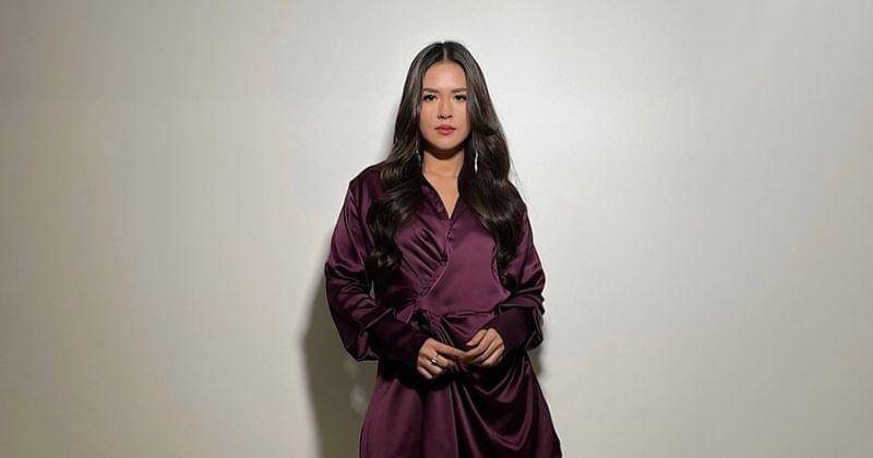 Instagram.com/raisa6690