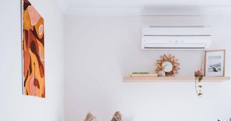 Pexels/rachel-claire