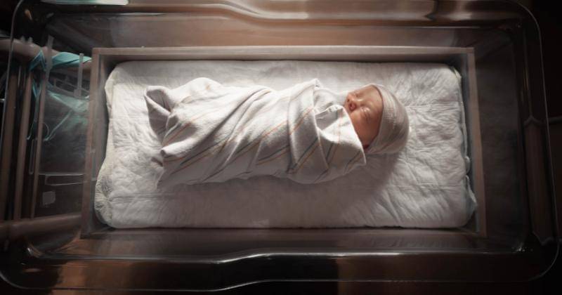 Unsplash/Jimmy Conover