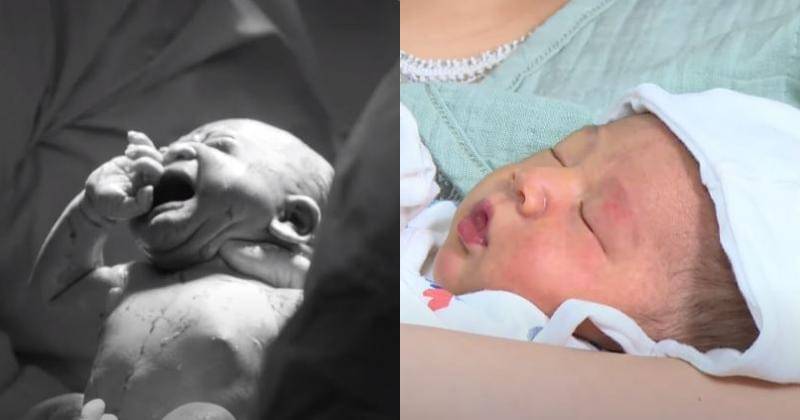 YouTube/Rans Entertainment