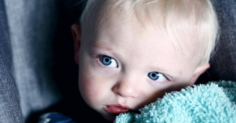 Unsplash/Sharon McCutcheon