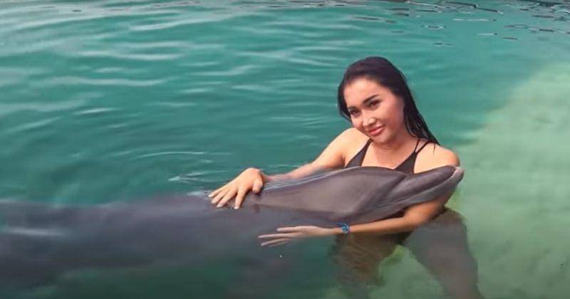 Youtube.com/Lucintaluna Manjalita