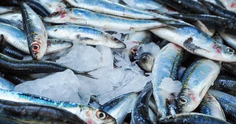 Pexels/energepic.com