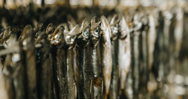 Pexels/Алекке Блажин