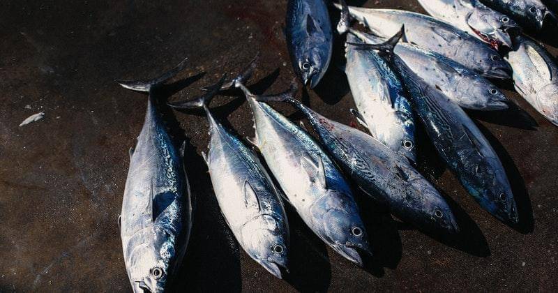 Pexels/ArtHouse Studio