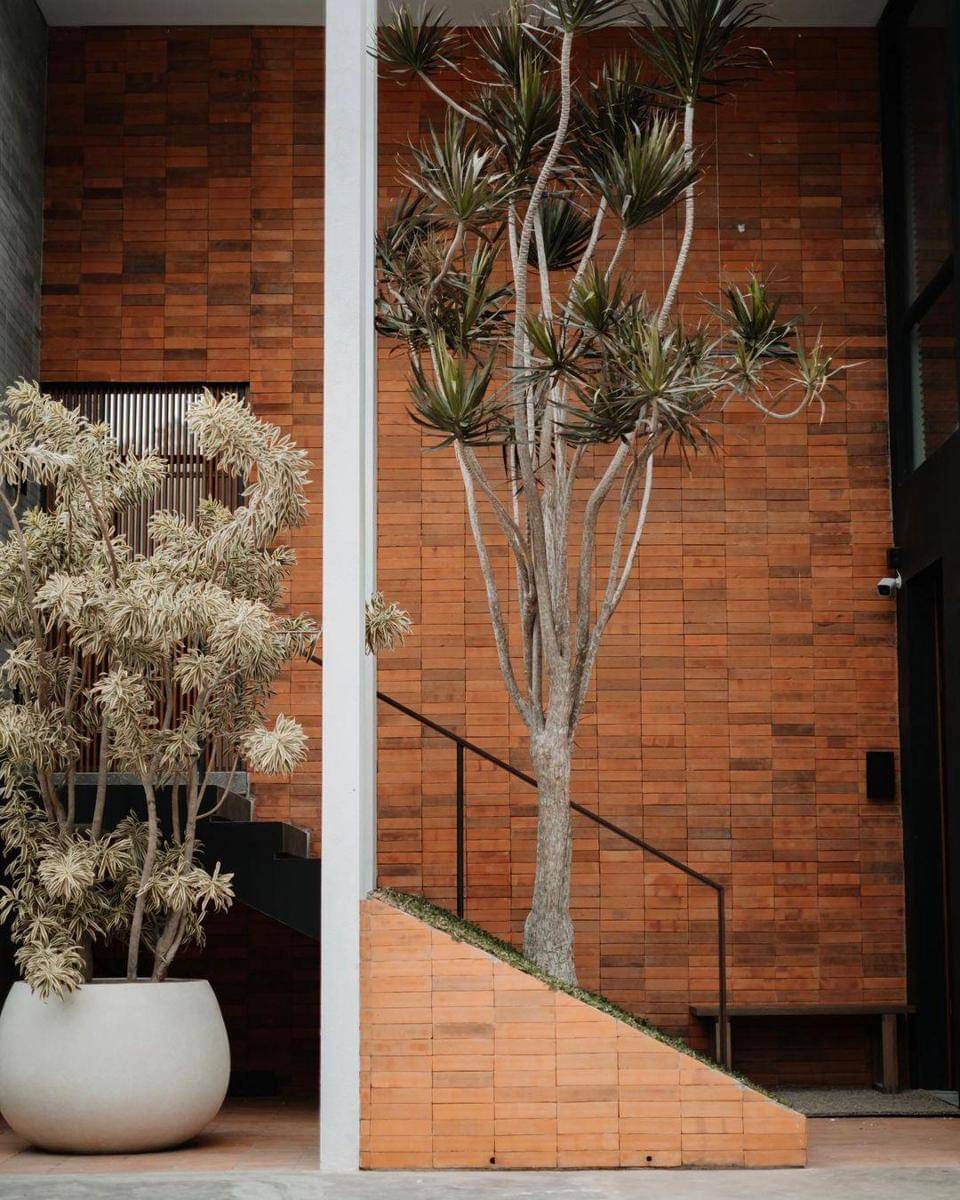 Instagram.com/eudaimonia.studios