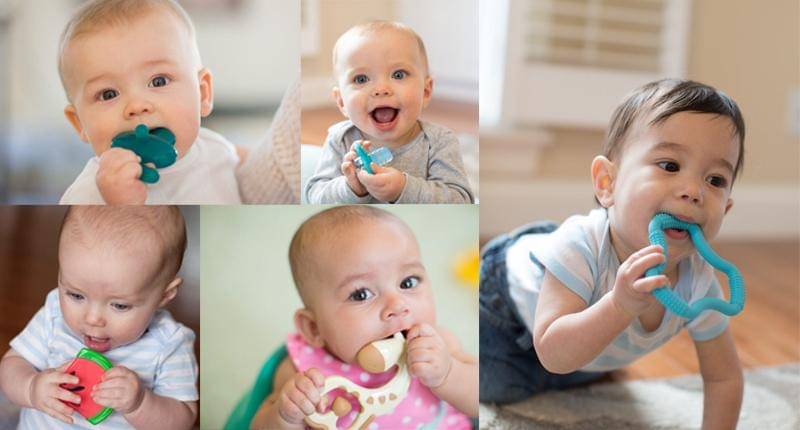 Merek Teether Dr. Brown's - Official Website Dr. Brown's Indonesia