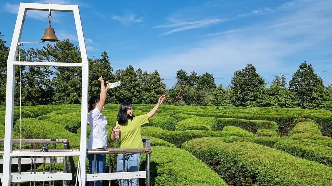 Instagram/gimnyeong _maze_park