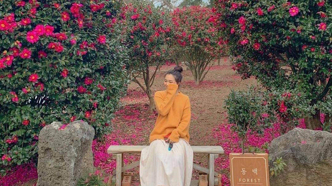 Instagram/jejuisland_korea