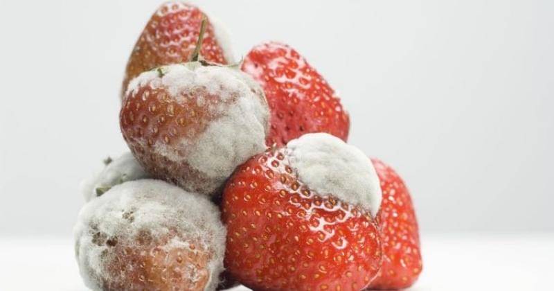 Pinterest.com/REDBOOKMagazine