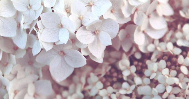 Unsplash/Olesia_bahrii