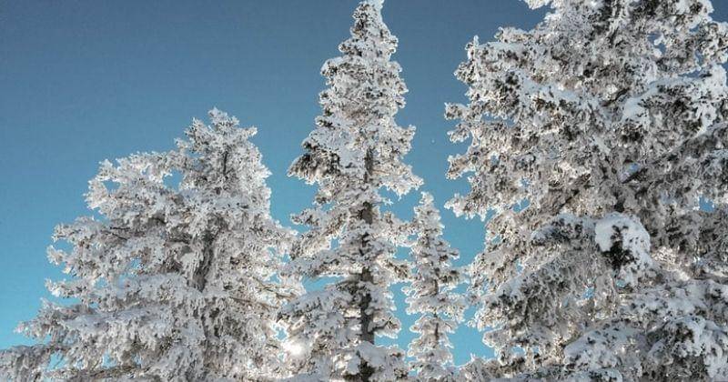 Unsplash/Kristensturdivant