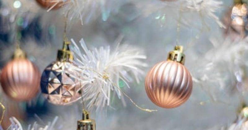 Unsplash/Daniloalvesd