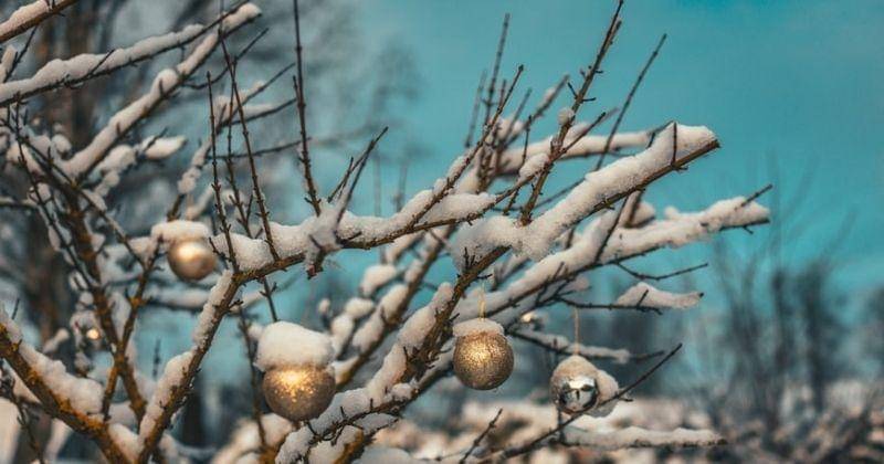 Unsplash/Raimondklavins