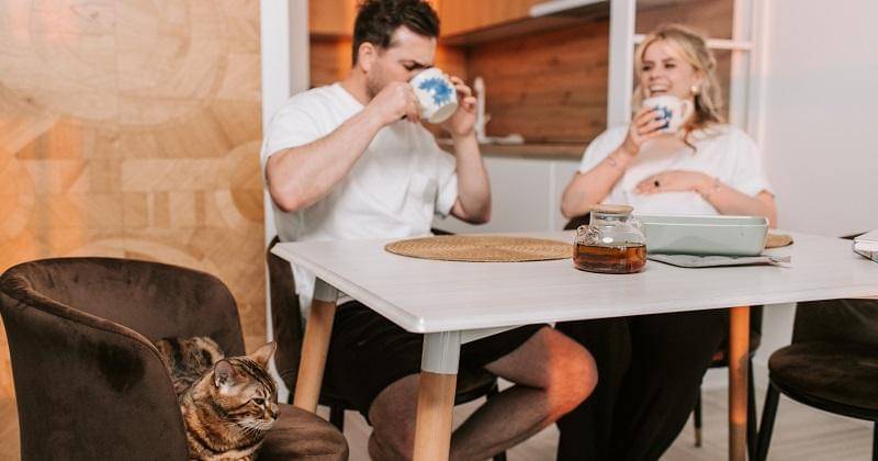 Pexels/ Vlada Karpovich