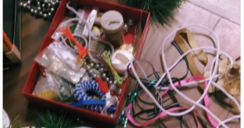 Instagram.com/Nadinelist