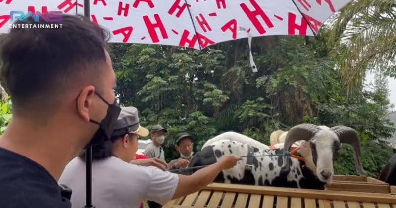 YouTube/Rans Entertainment