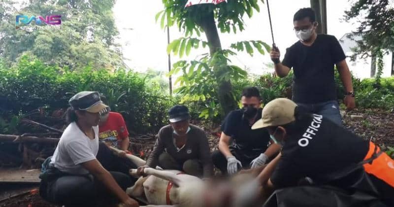 YouTube/Rans Entertainment