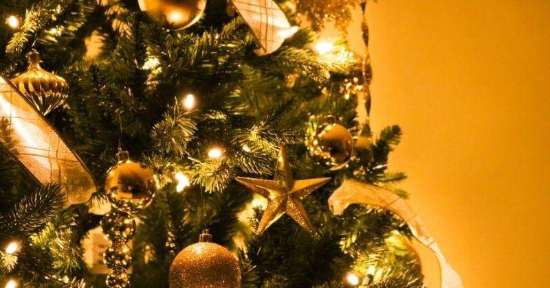 Unsplash/Antonette_r