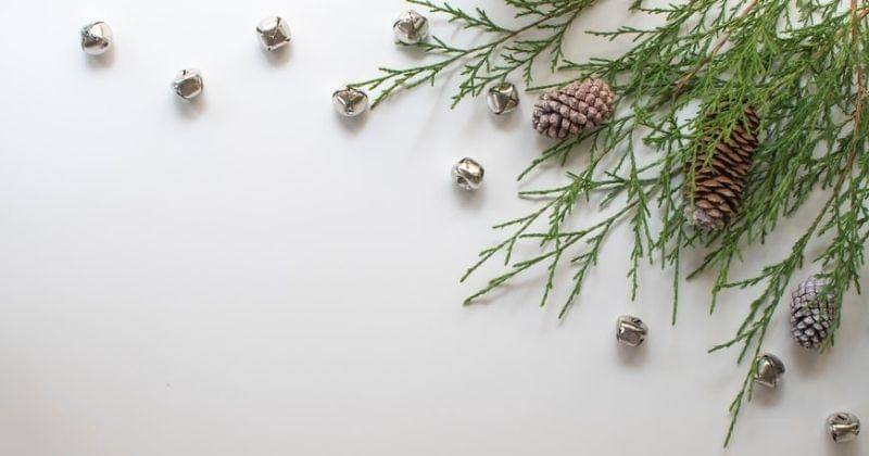 Unsplash/Davies_designs