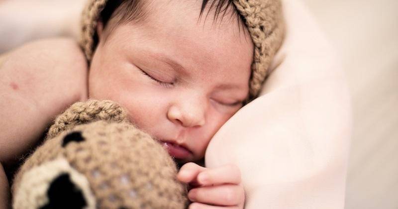 Pexels/Georgia Maciel