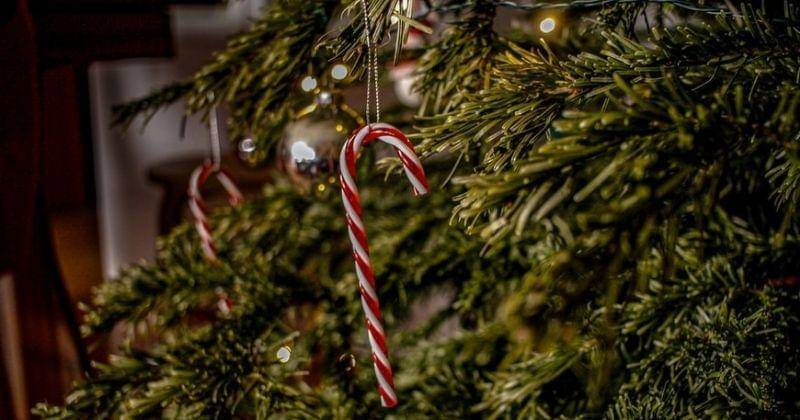 Unsplash/Blondinator92