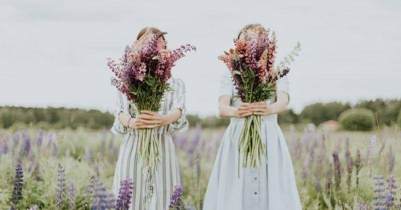 Unsplash/Daiga_ellaby