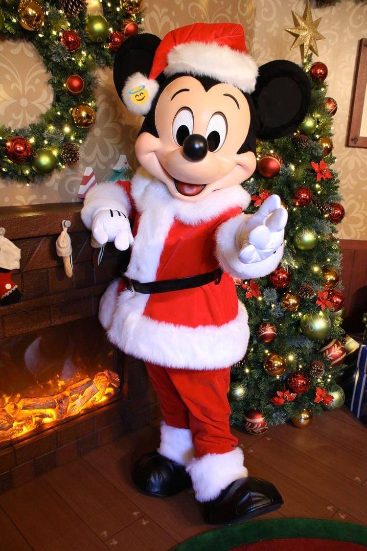 Twitter.com/noa_minnie1118