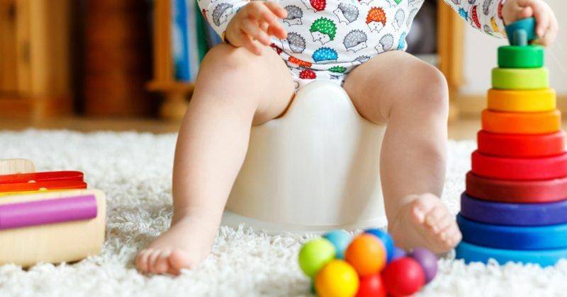 Shutterstock/Irina Wilhauk