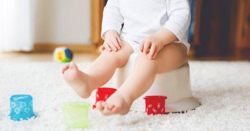 Shutterstock/Irina Wilhauk