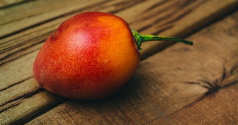 5 Manfaat Mengonsumsi Terong Belanda saat Hamil 