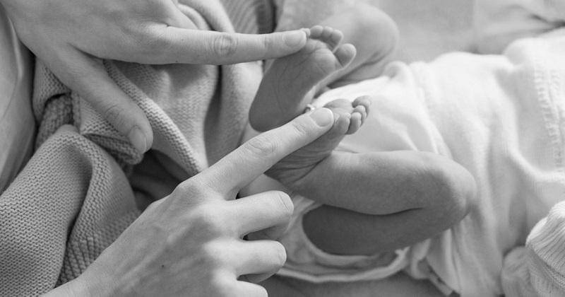 Unsplash/Danijel Durkovic