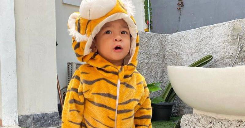 Instagram.com/vanessaangeloficial