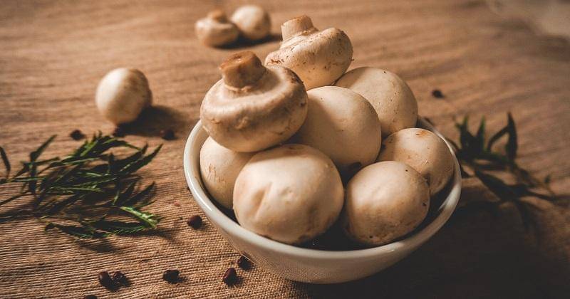 Unsplash/Thahn Soledas